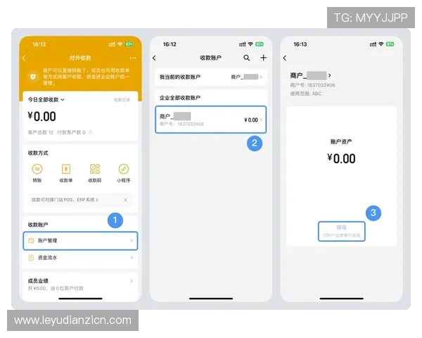 老虎机可提现流程全攻略让你轻松掌握资金提现的每一个环节 老虎机可提现流程全攻略让你轻松掌握资金提现的每一个环节