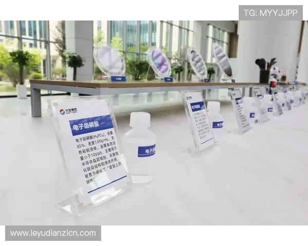 hub电子税务局最新政策动态与功能升级解析助力企业税务优化管理